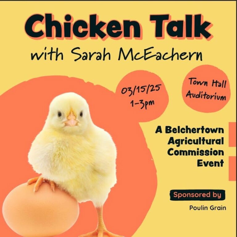 Chicken Talk at Belchertown