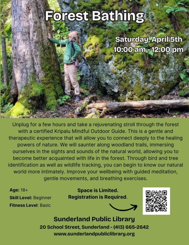 forest bathing Sunderland