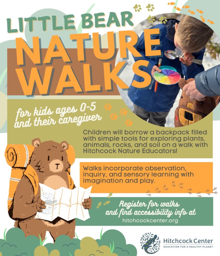Little Bear Nature Walks Amherst