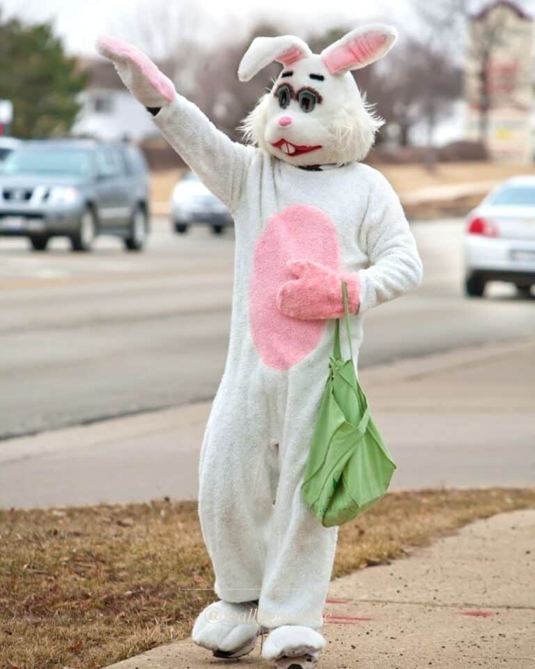 Pet Photos with Bunny