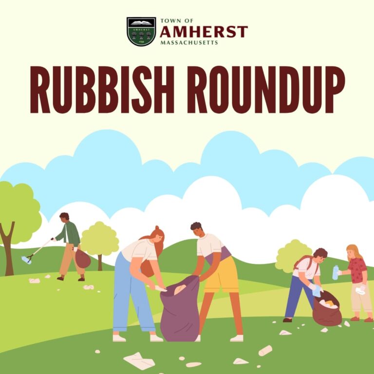 Rubbish Roundup in Amherst