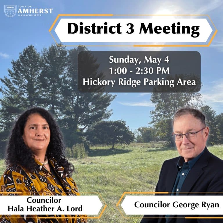 Amherst District 3 meeting 2025