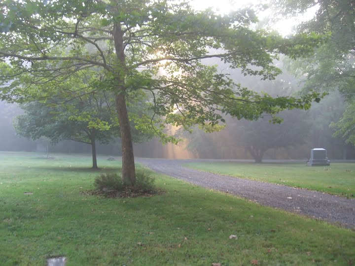 tree identification walk Amherst