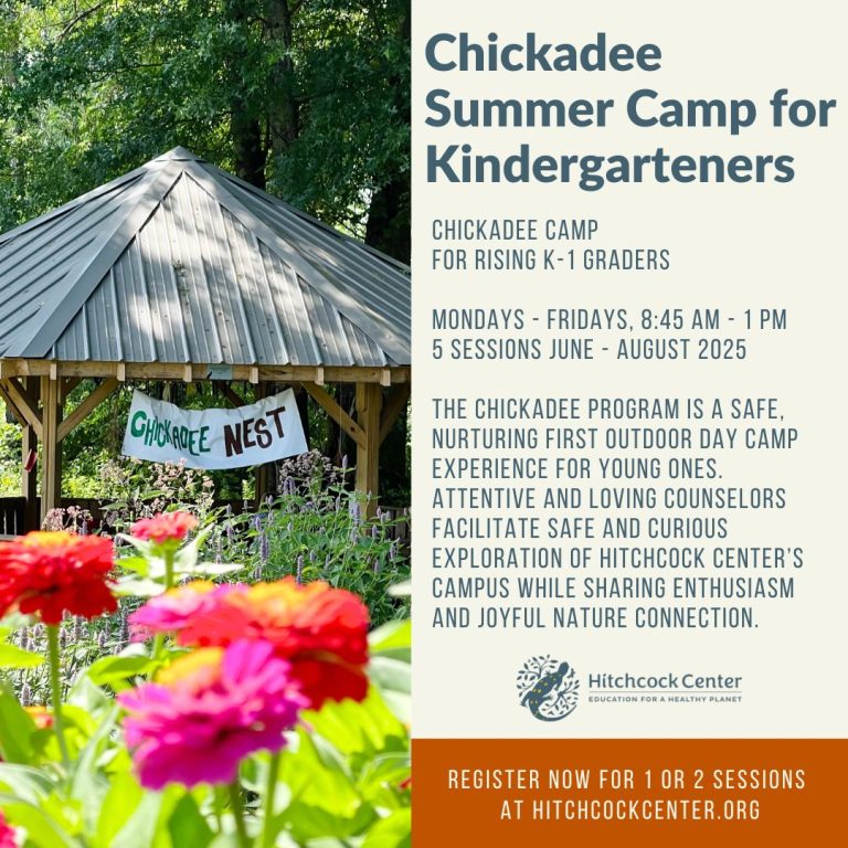 Chickadee Summer Camp in Amherst