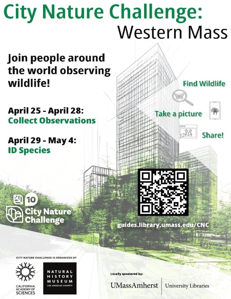 City Nature Challenge in UMass Amherst