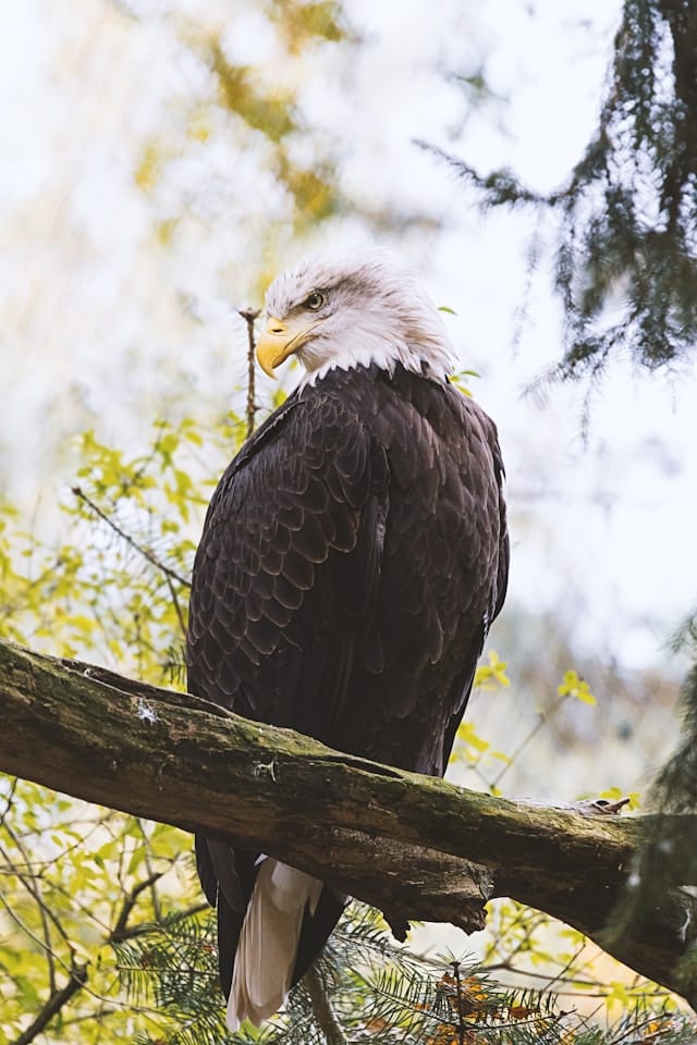 birding field trip in Hadley