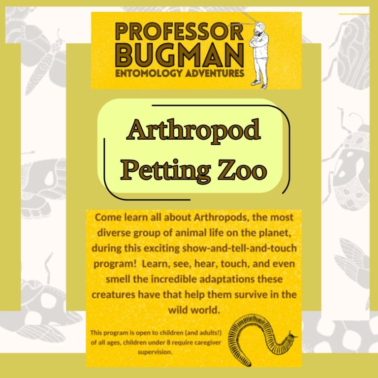 arthropod petting zoo for kids