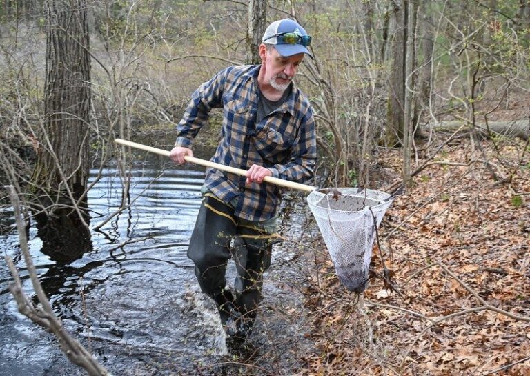 vernal pool hike in South Hadley
