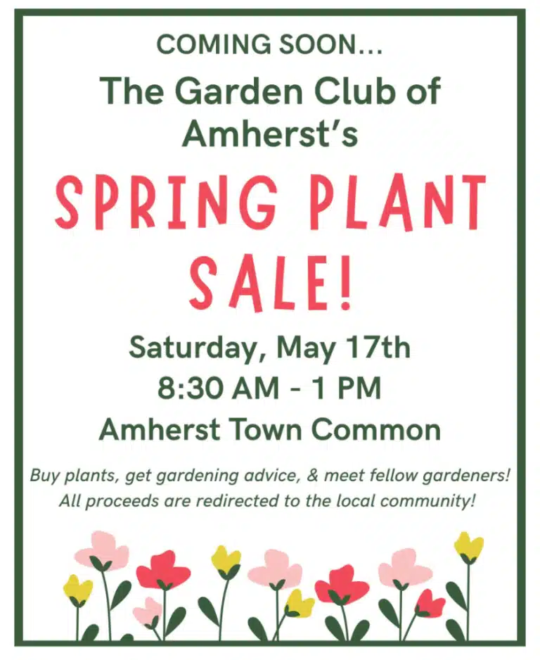 plant sale in Amherst MA
