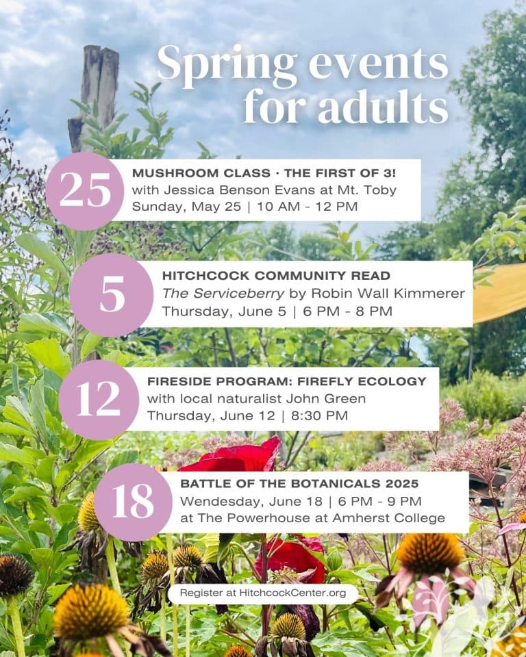adult programs at Hitchcock Center