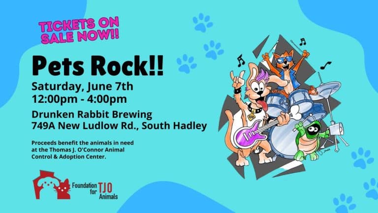 Pets Rock in South Hadley