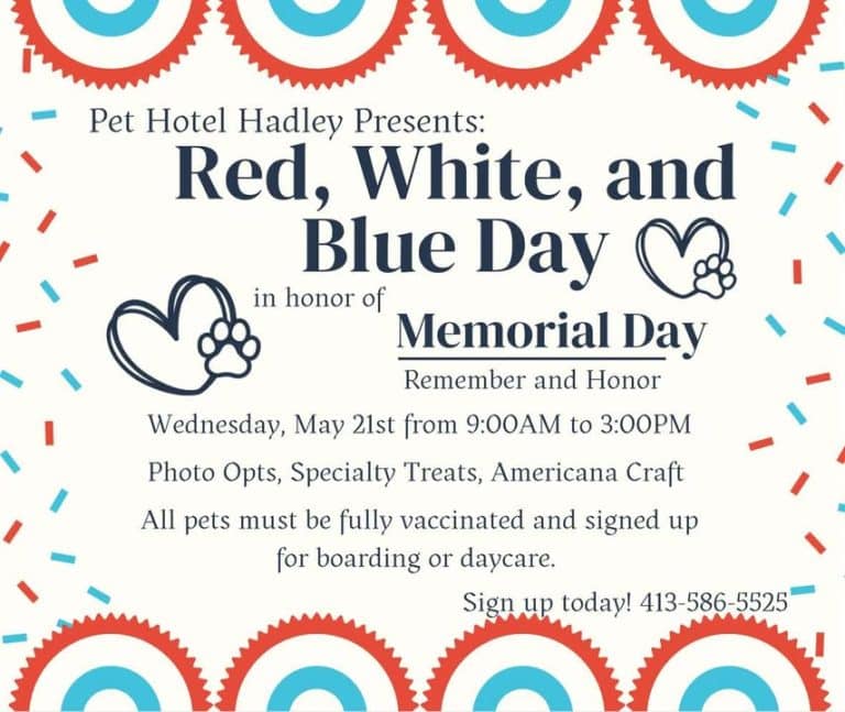pet Memorial Day in Hadley