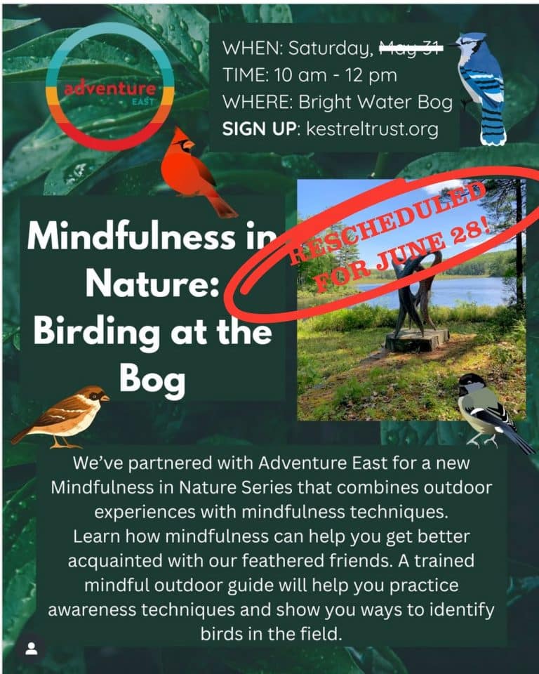 mindful birding walk in Shutesbury
