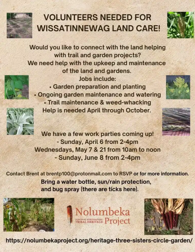 Wissatinnewag Land care volunteer