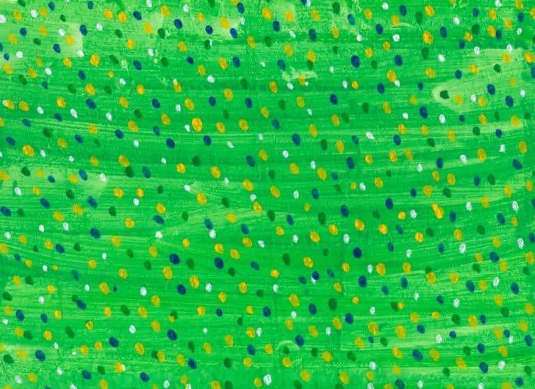 youth orchestra festival in Amherst