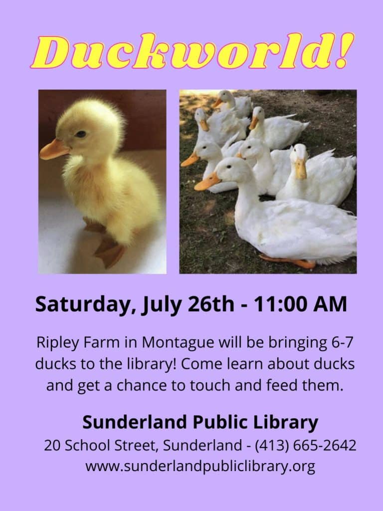 Duckworld at Sunderland Public Library