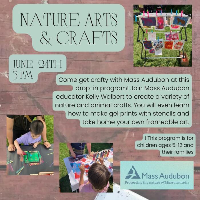 nature crafts in Hadley