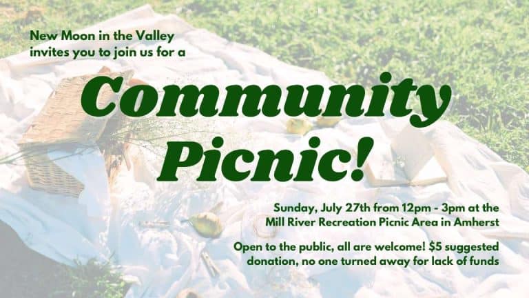 Amherst community picnic July 2025