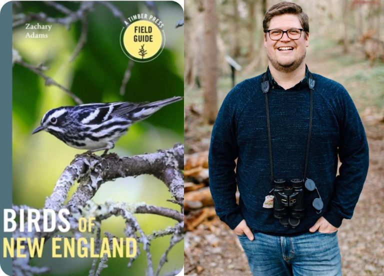 Birds of New England Book Talk