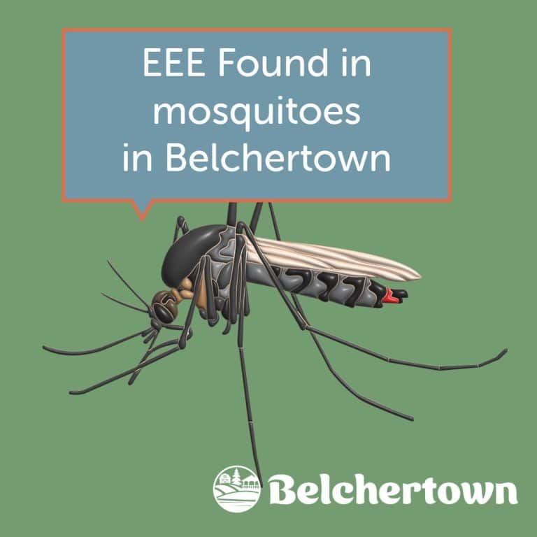 EEE virus detected in mosquitoes Belchertown 2025