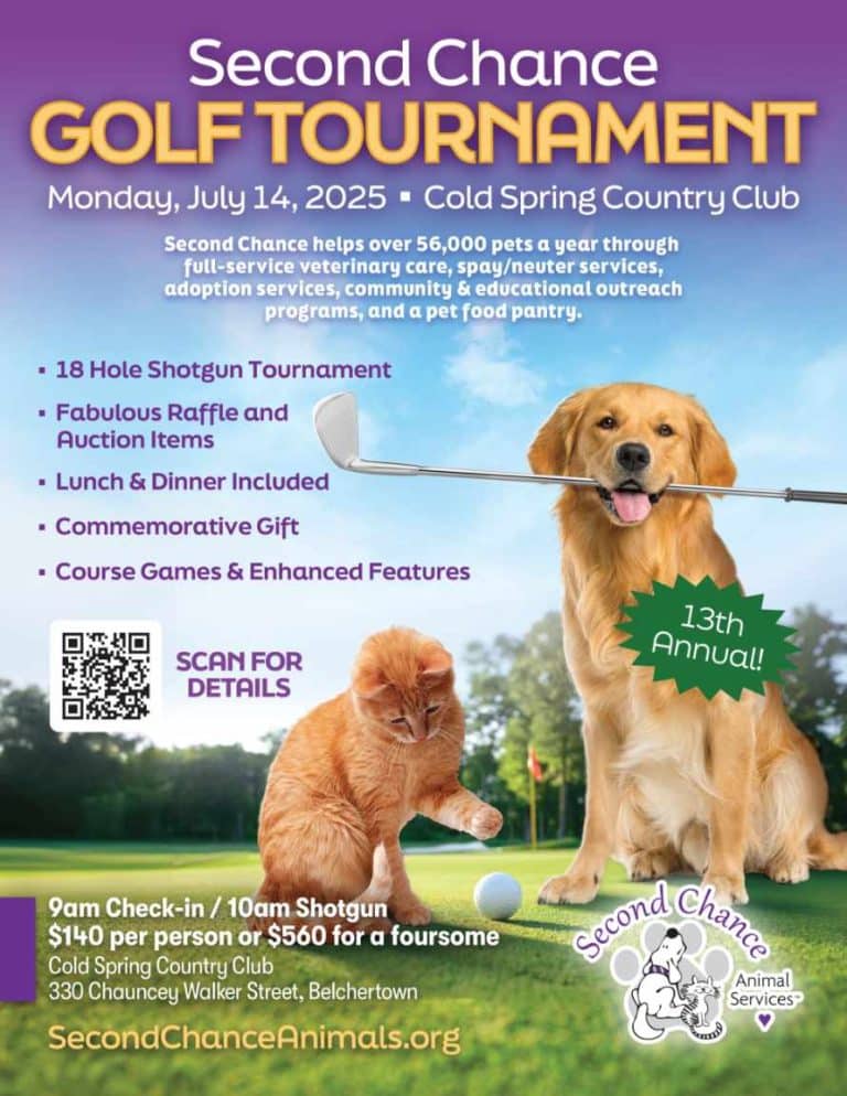 Golf Tournament Fundraiser Belchertown 2025