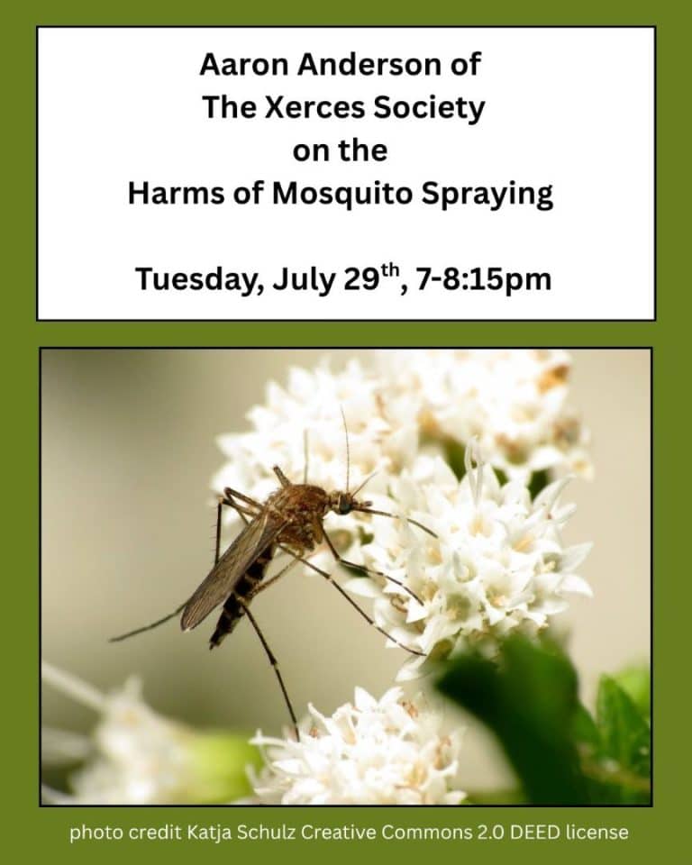 Harms of Mosquito Spraying