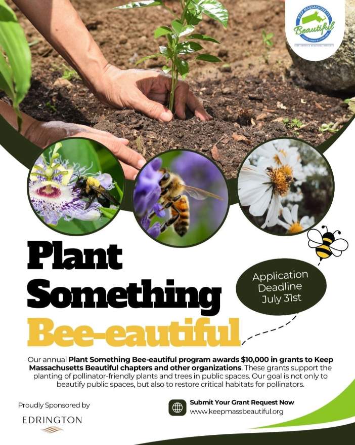 Plant Something Bee-eautiful Massachusetts 2025