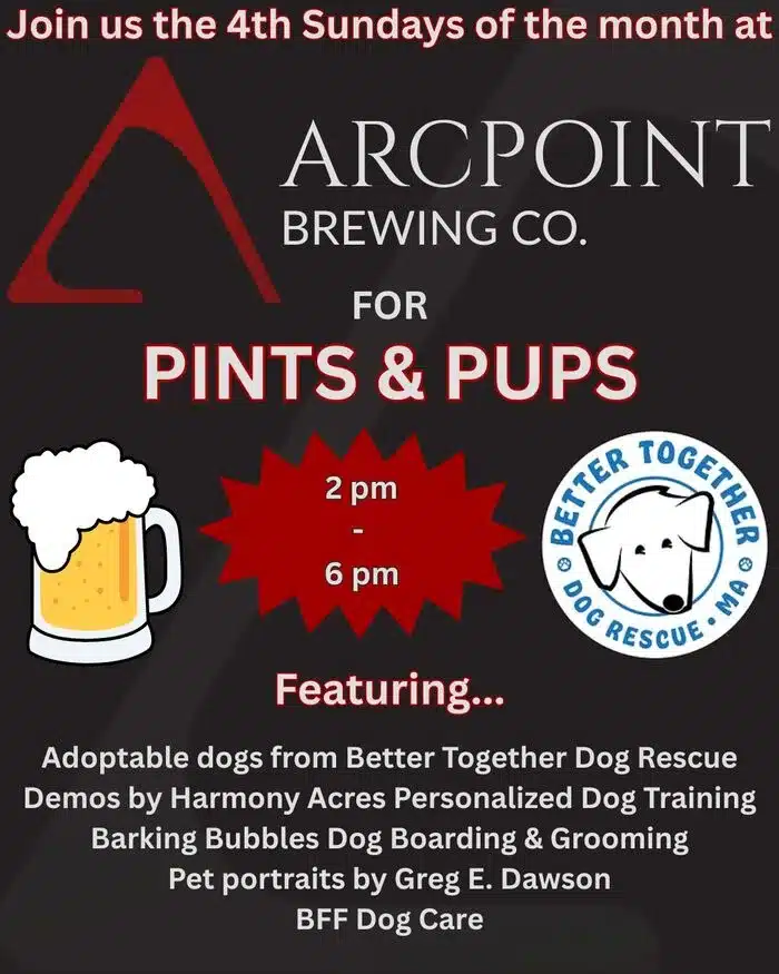 dog expo in Belchertown