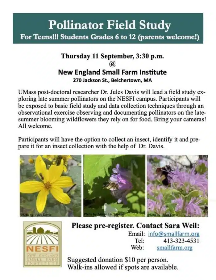 pollinator study in Belchertown