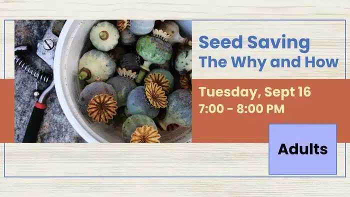 seed saving workshop in Belchertown