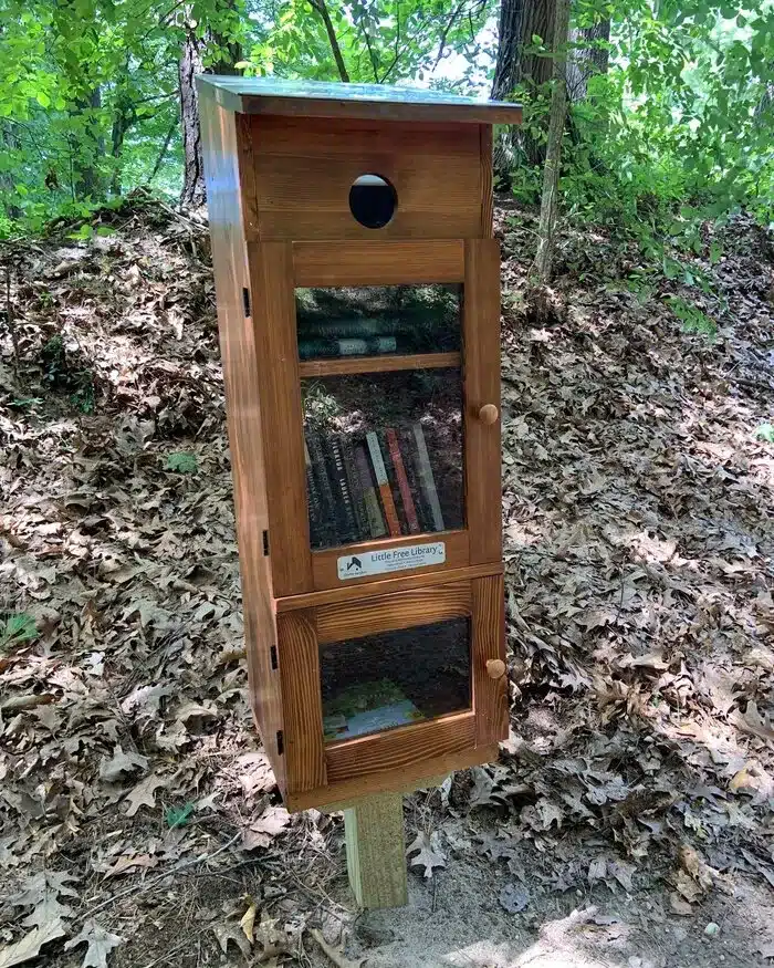 Little Free Library in Amherst