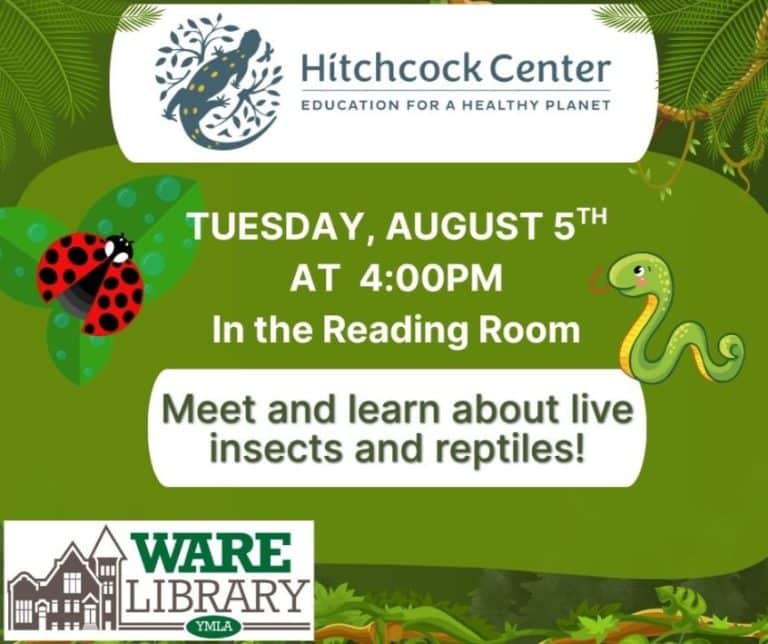 live insects and reptiles Ware Library