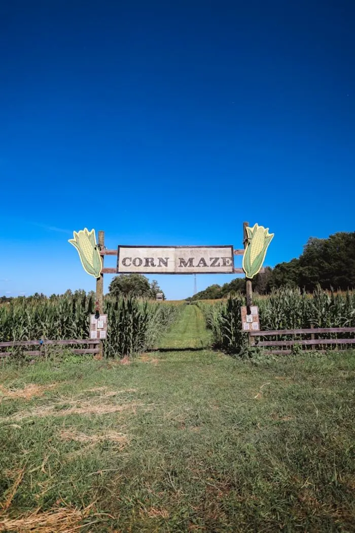 orienteering championship in Sunderland