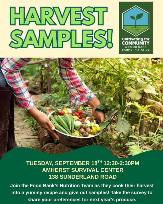 Amherst Harvest Samples 2025