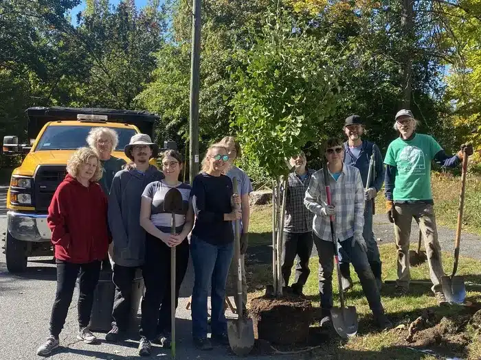 tree planting volunteer in Amherst