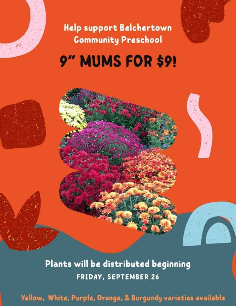 Belchertown mums sale 2025