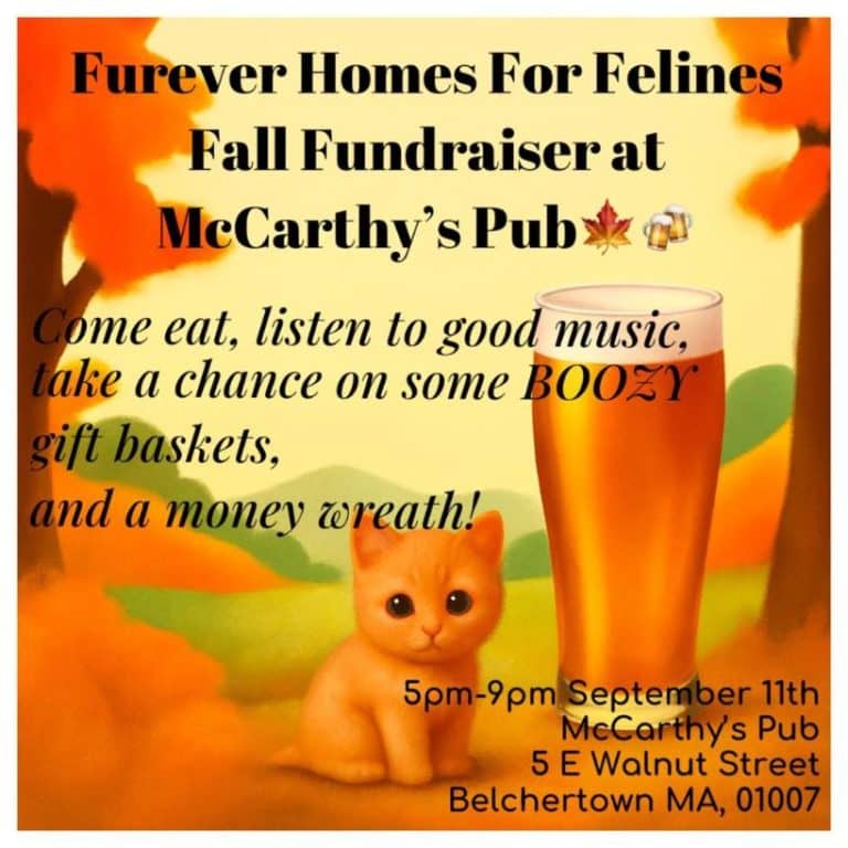 Furever Homes for Felines Fundraiser Belchertown 2025