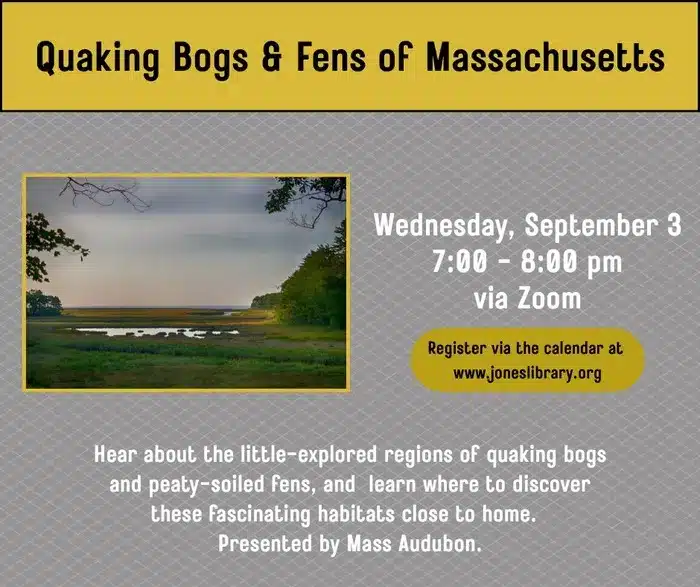 Massachusetts bogs fens virtual talk