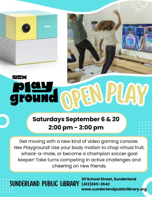 Nex Playground Open Play Sunderland Public Library