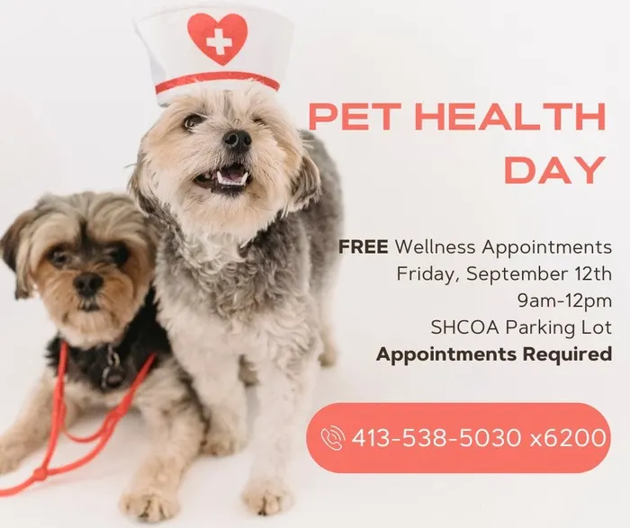 free pet clinic in South Hadley
