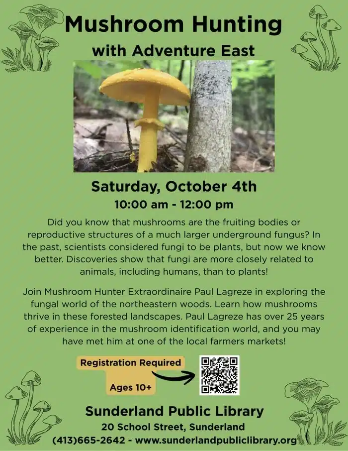 mushroom hunt in Sunderland