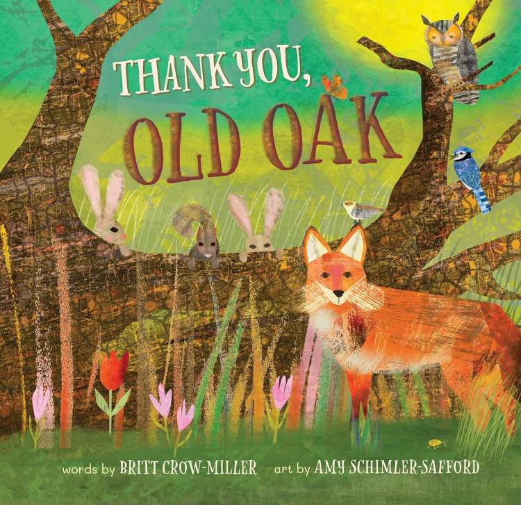 Thank You Old Oak book reading Carle Museum