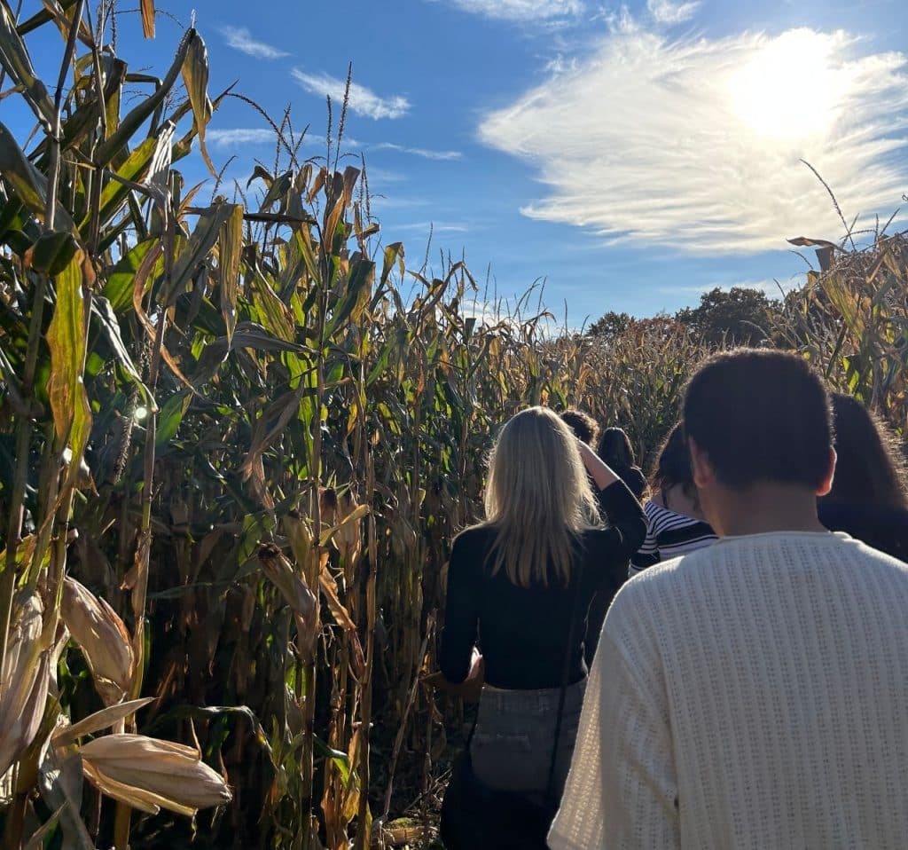 A group of people walking through Mike's Maze.