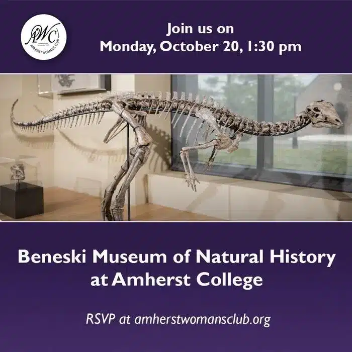 field trip to Beneski Museum