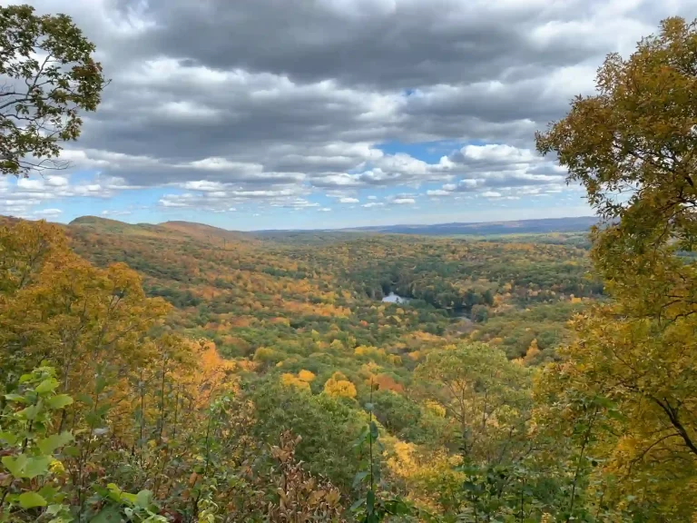 Guided Vernal Pool Trek South Hadley 2025