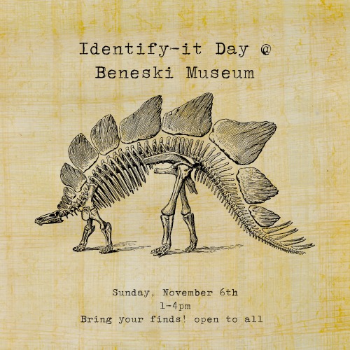 Identify-It Day Beneski Museum 2025