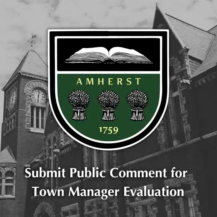 Town Manager evaluation 2025