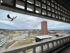 Graphic of a dragon flying over UMass as seen from the Umass Hotel. Original photo: FungaiFoto