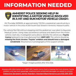 Amherst hit-and-run South East Street 2025