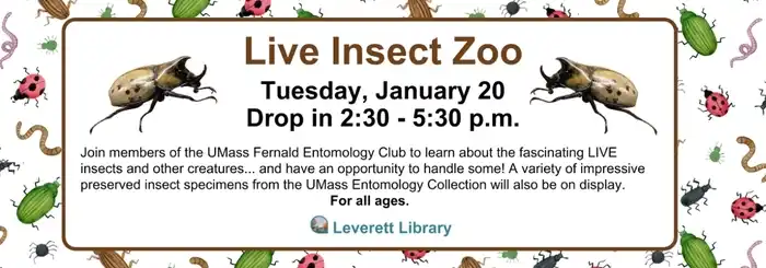 Leverett Library insect zoo